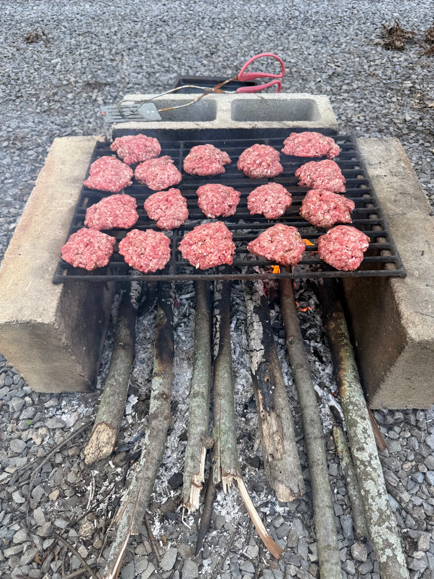Ground Beef Special